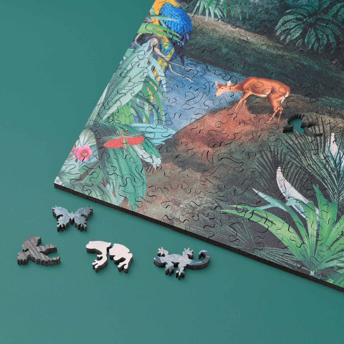 Jungle Paradise