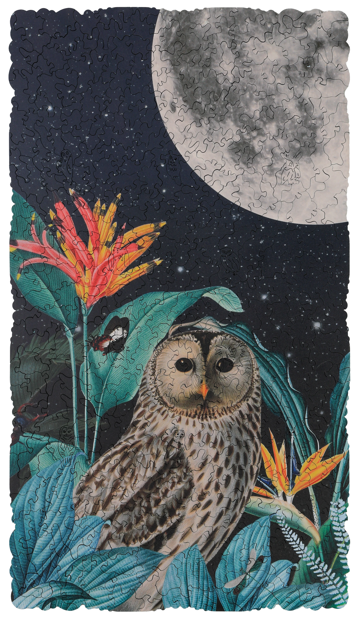 The Moonkeeper
