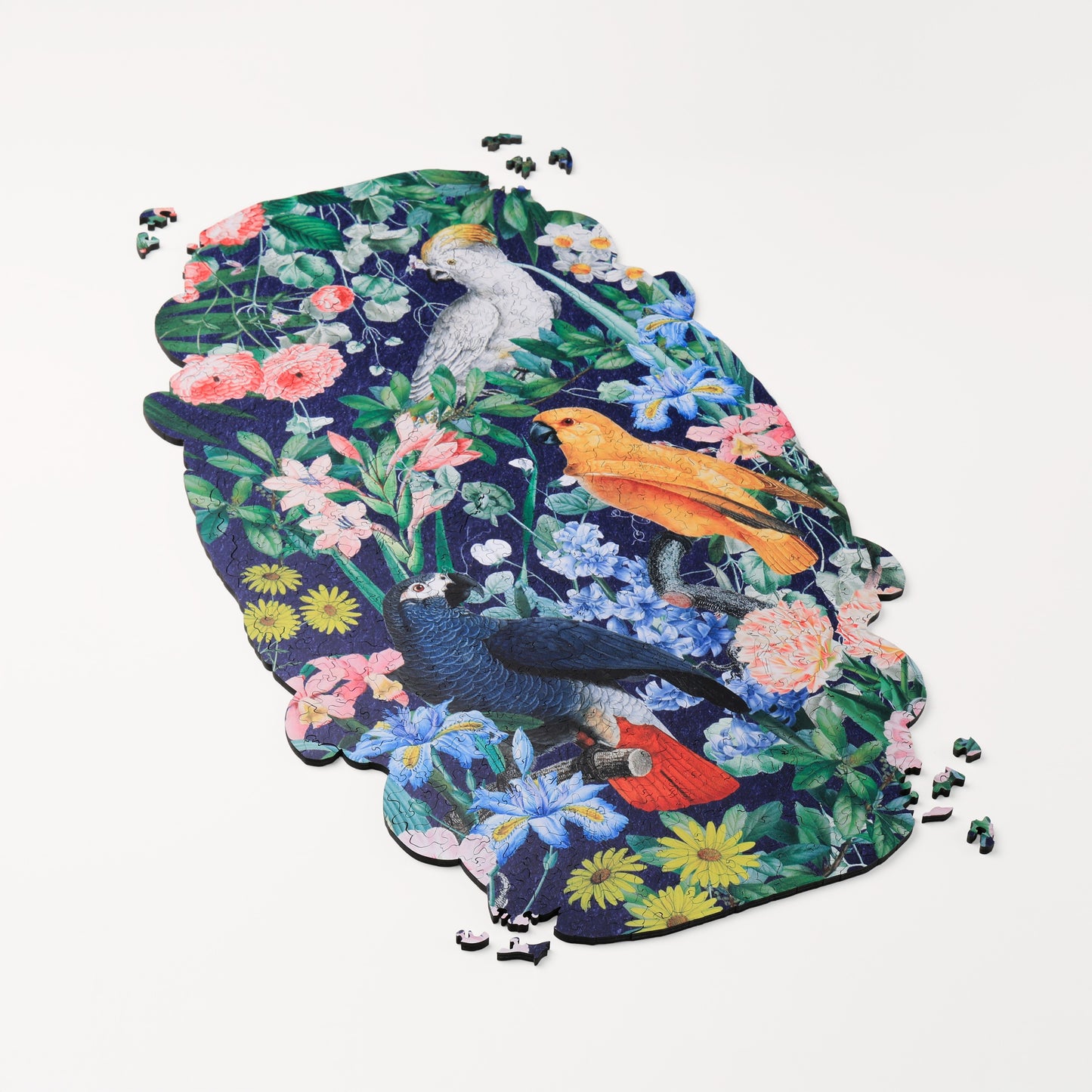 Botanical Rhapsody