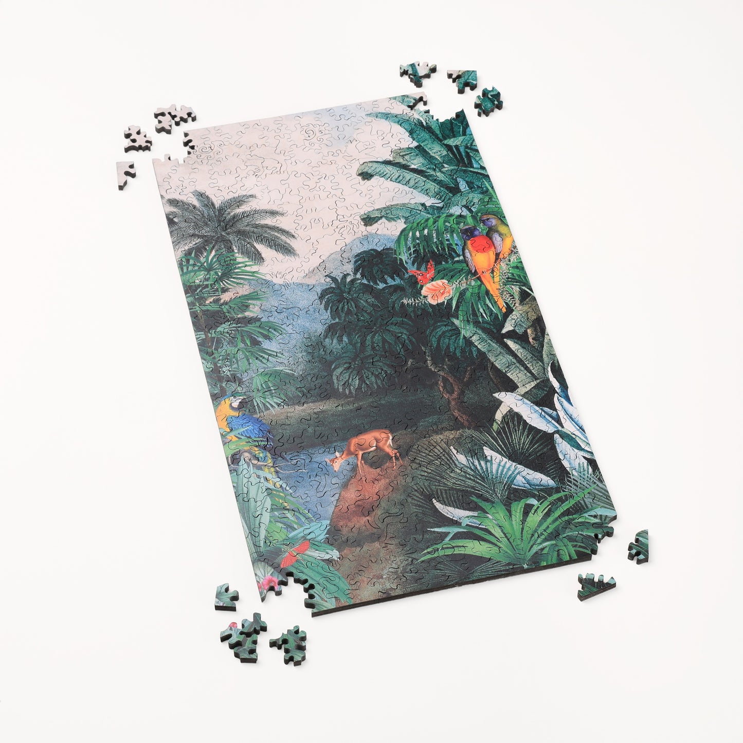 Jungle Paradise
