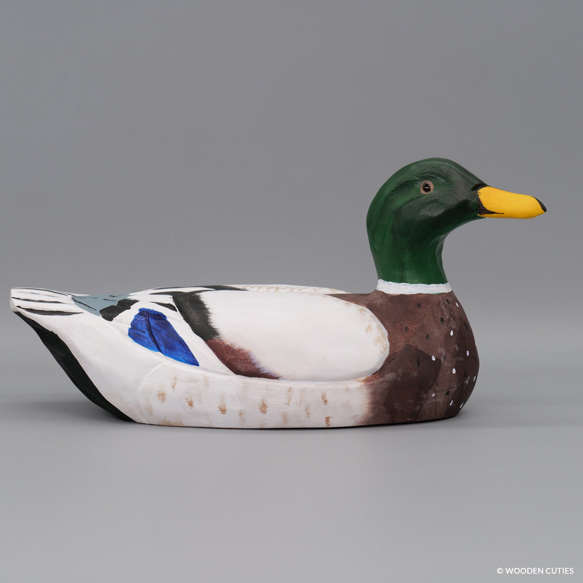 Mallard Duck