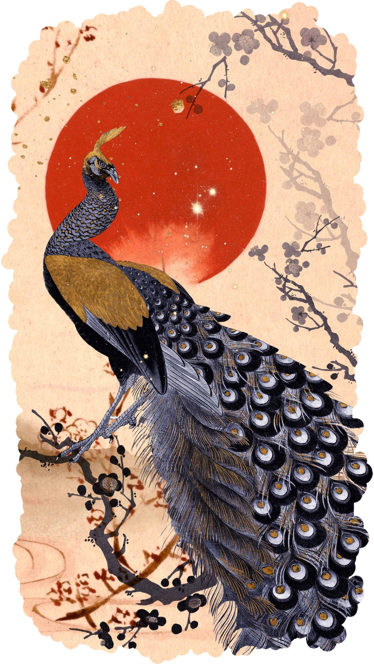 Celestial Peacock