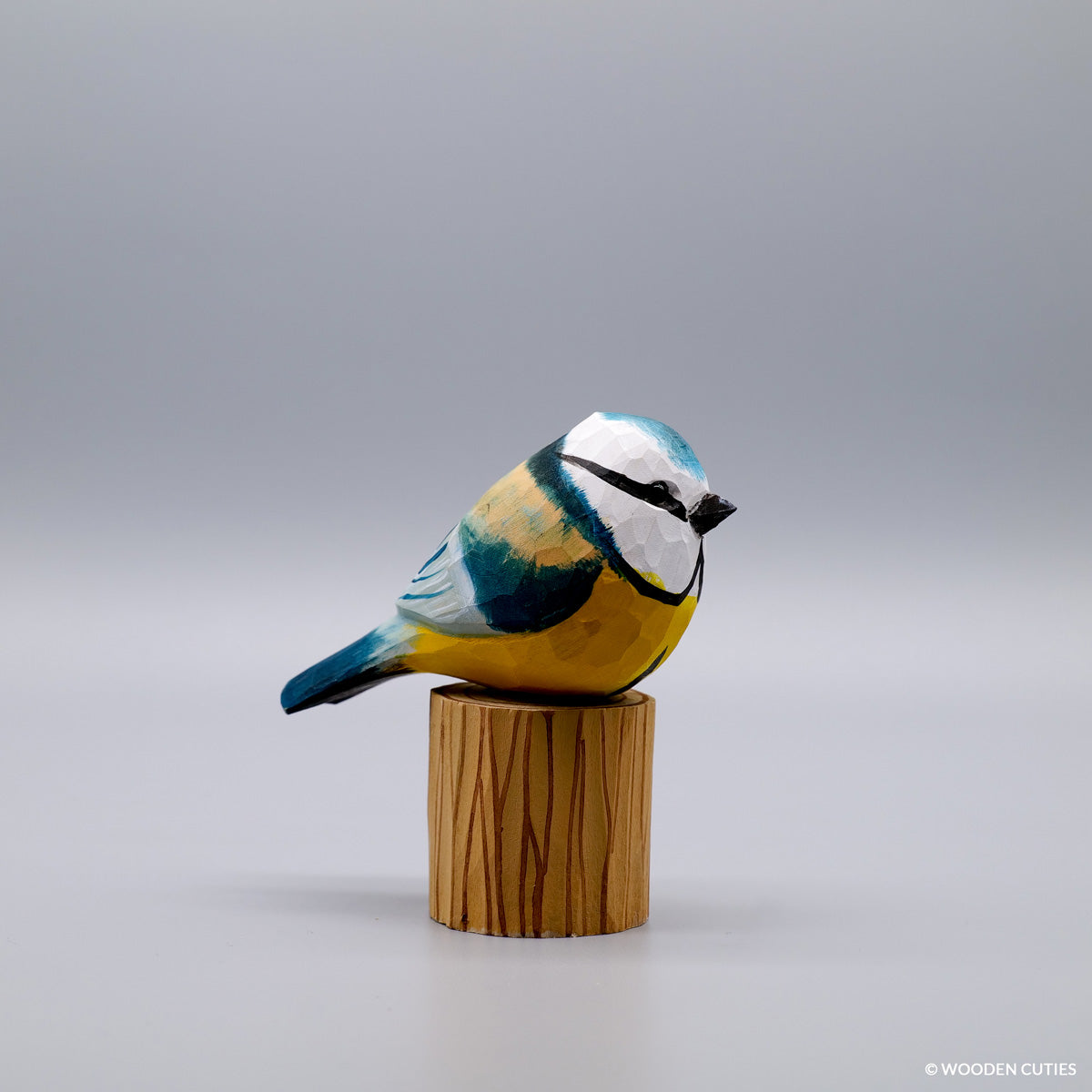 Set of 12 Birds