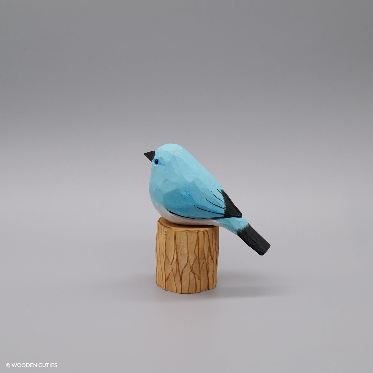 Mountain Bluebird + Stand