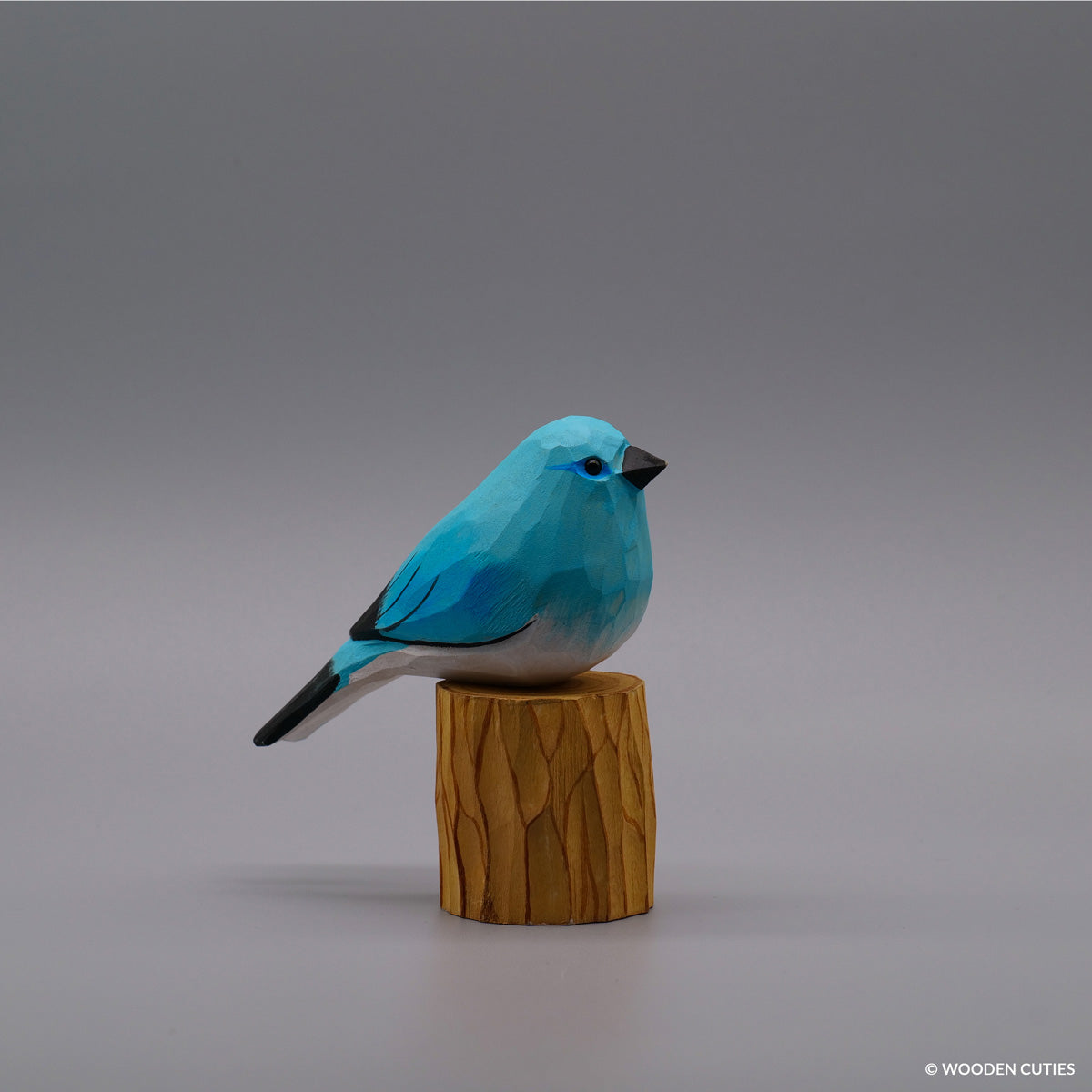 Mountain Bluebird + Stand