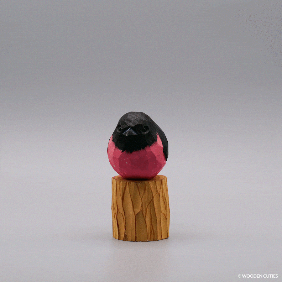 Pink Robin + Stand