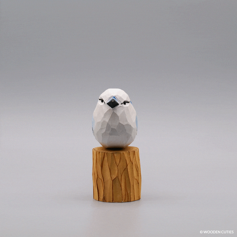 White Blue Jay + Stand