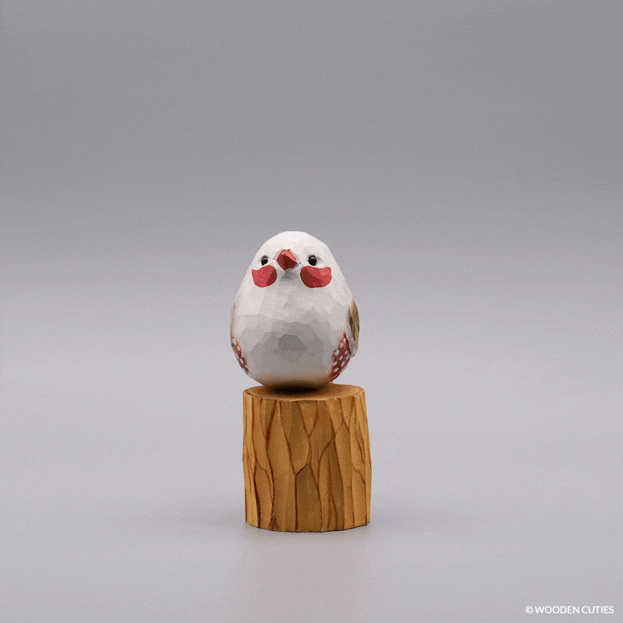 White Zebra Finch + Stand