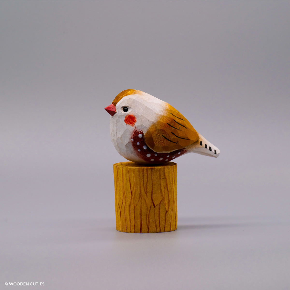 Zebra Finch
