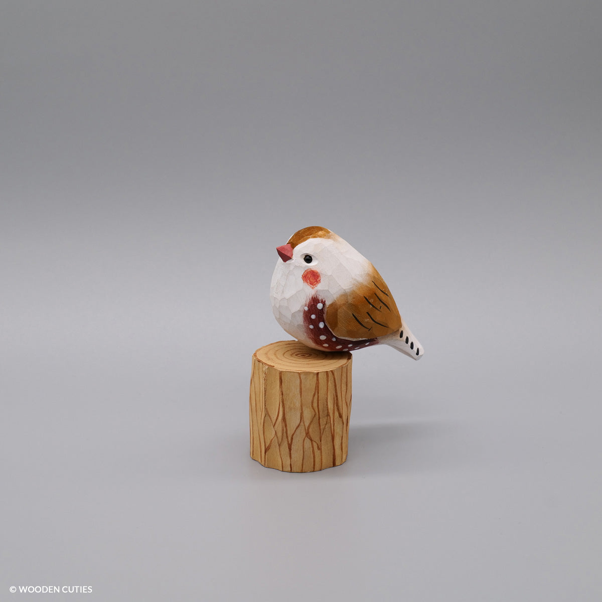 Zebra Finch