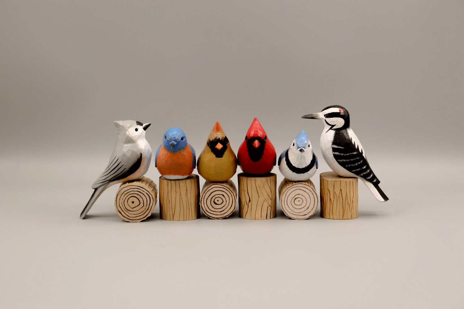 Birds