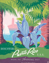 Discover Puerto Rico U.S.A. Poster