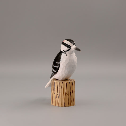 Woodpecker