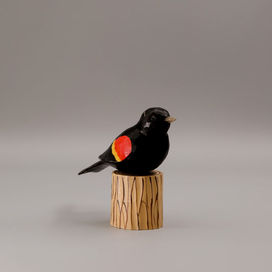 Red-Winged Blackbird