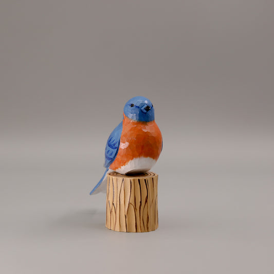 Eastern Bluebird