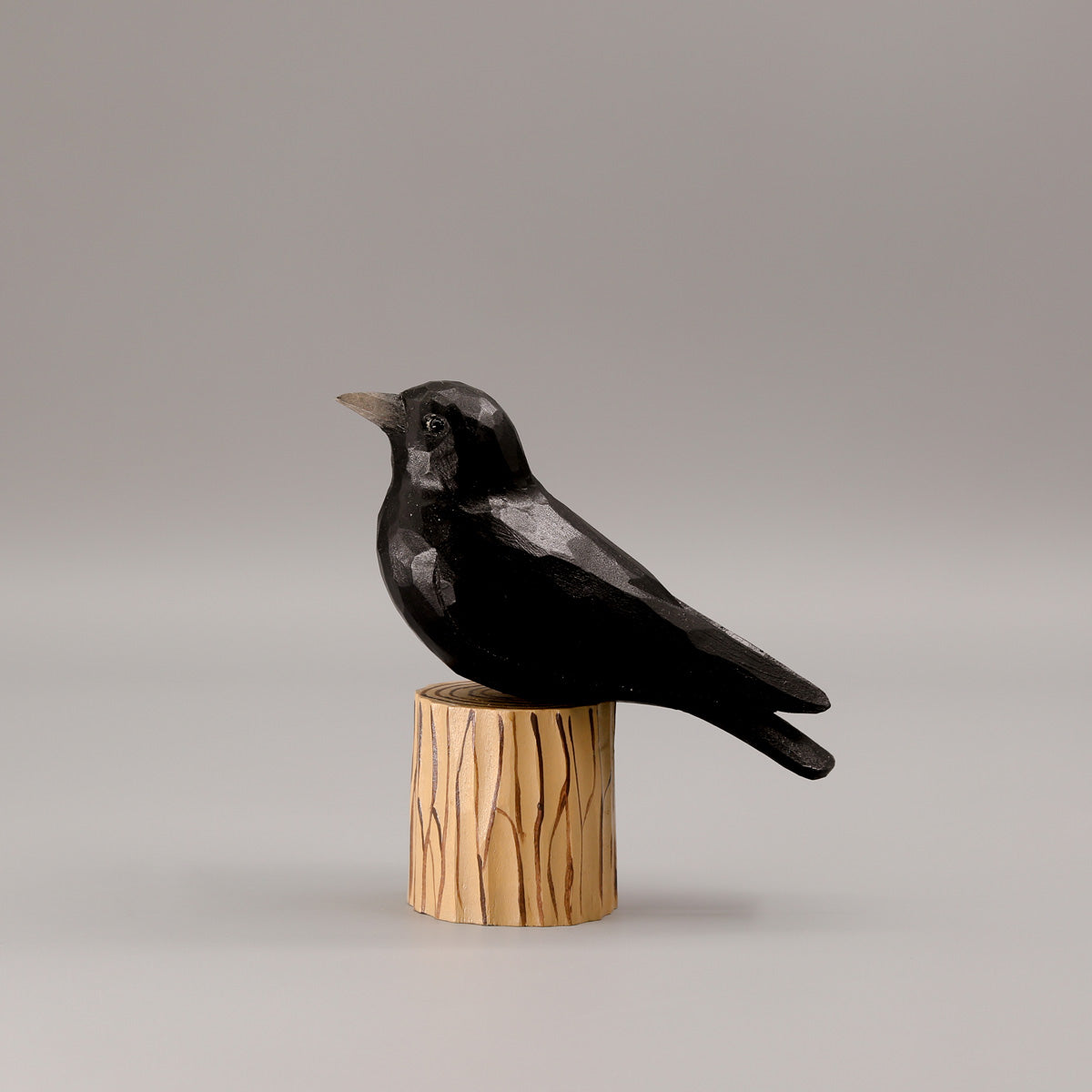 Cute Crow Pot Holders - Barron Photografix