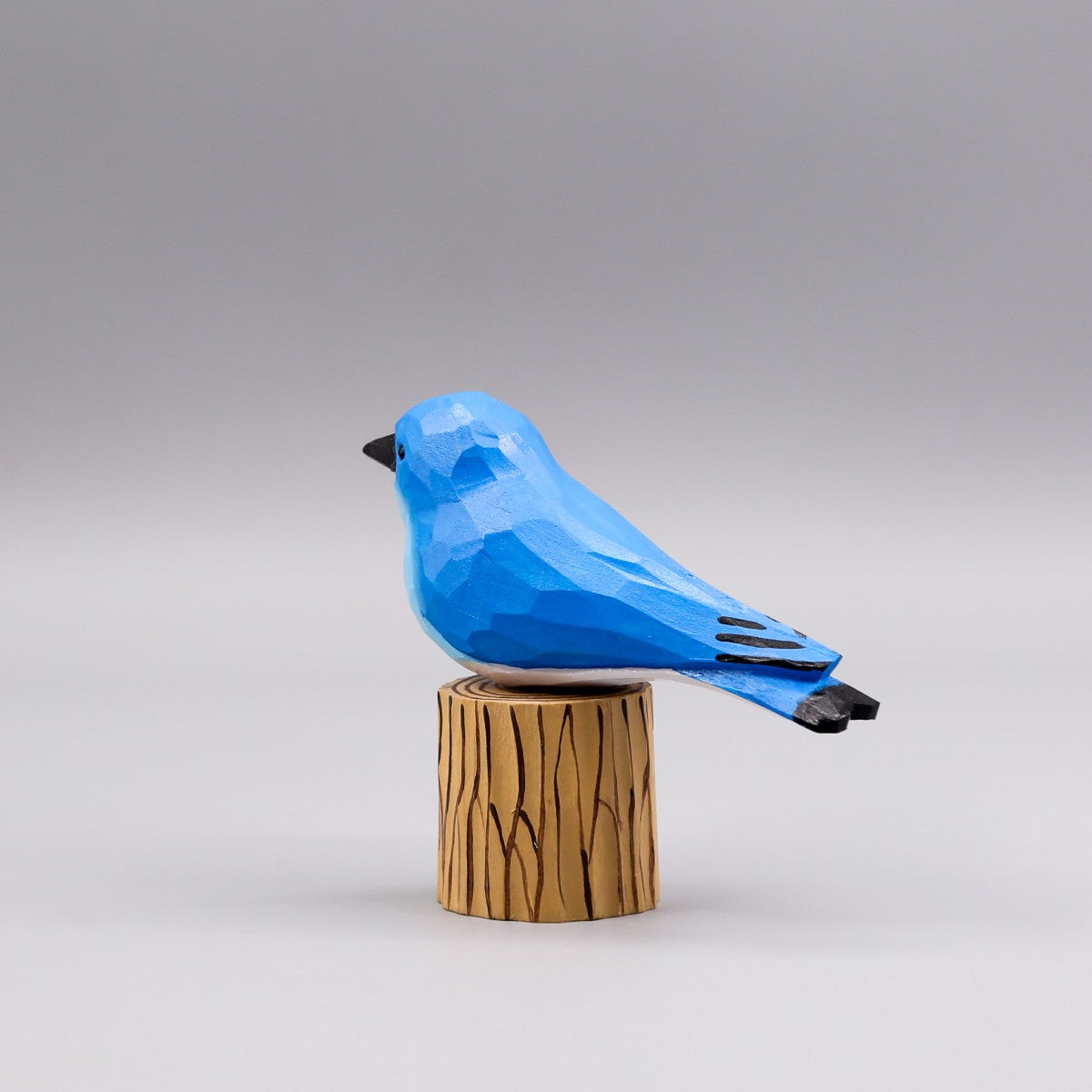 Mountain Bluebird