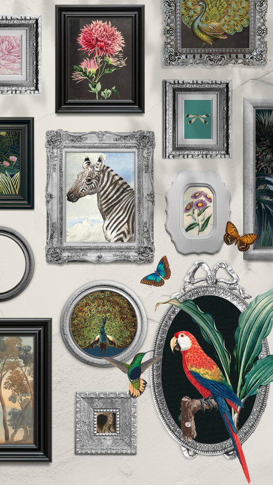 Gallery of Wonders