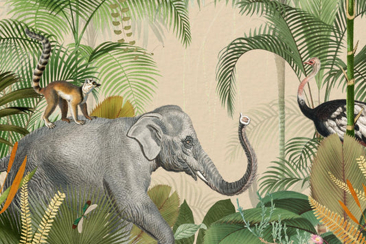 Curious Companions