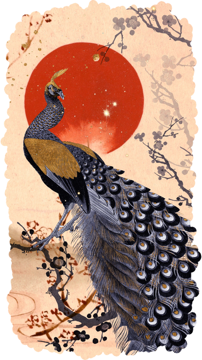 Celestial Peacock