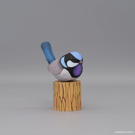 Superb Fairywren