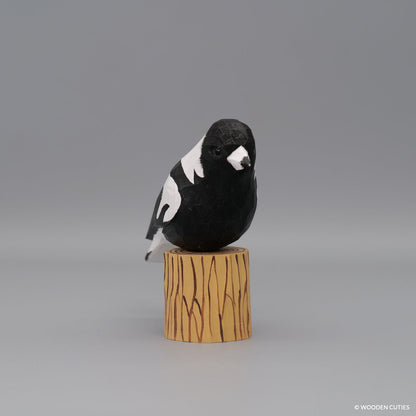 Australian Magpie + Stand