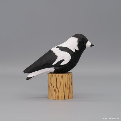 Australian Magpie + Stand