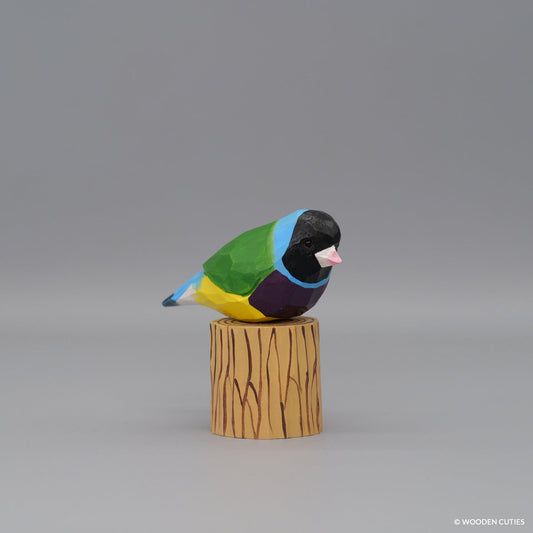 Gouldian Finch