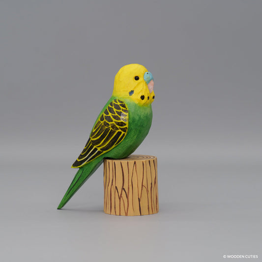 Budgerigar + Stand