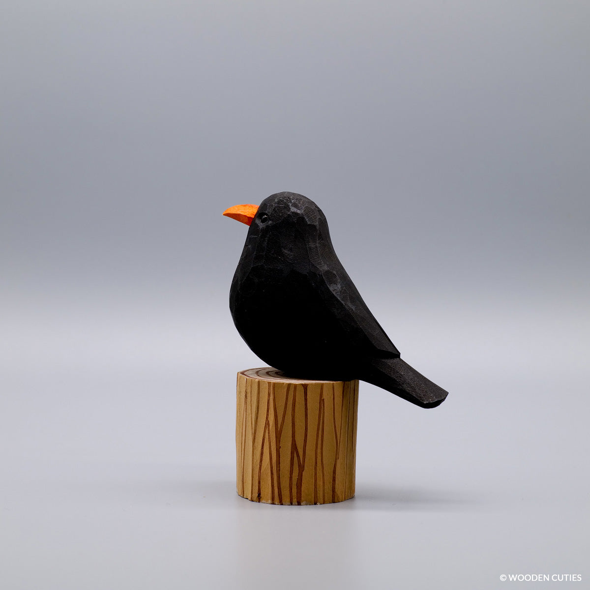 Blackbird + Stand