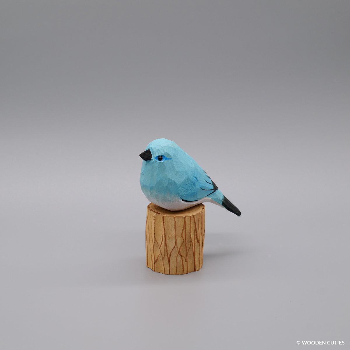 Mountain Bluebird + Stand