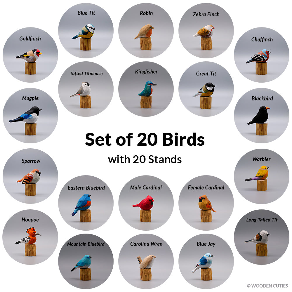 Set of 20 Birds + 20 Stands