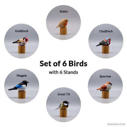 Set of 6 Birds + 6 Stands