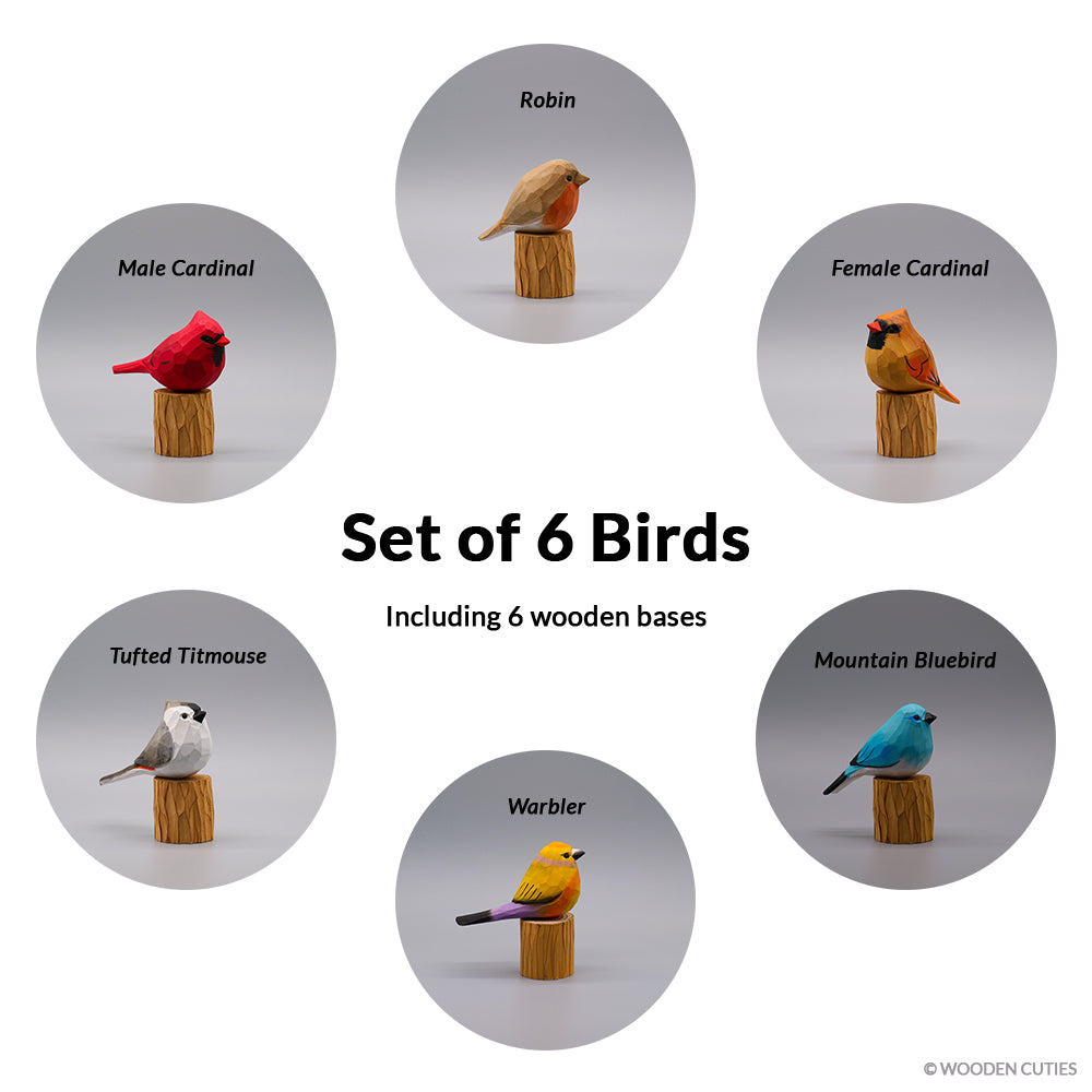 Set of 6 Birds + 6 Stands