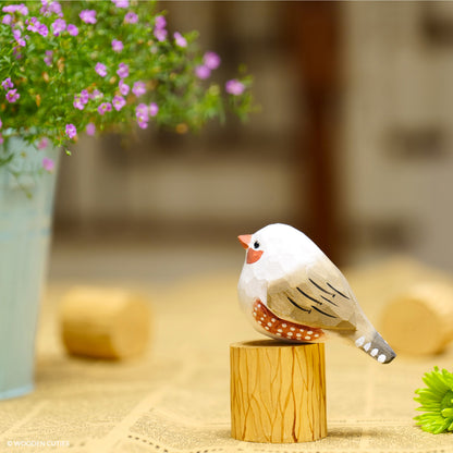 White Zebra Finch + Stand